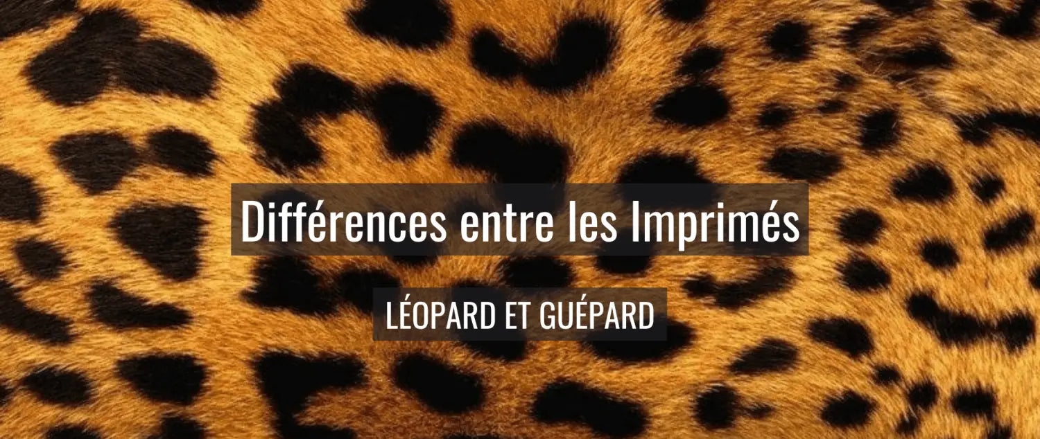 Différences guépard et léopard