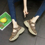 Baskets Léopard Scratch - Vignette | My Léopard