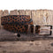 Ceinture marron mode léopard.