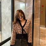 Women's Brown V-Neck Leopard Sweater - Vignette | My Léopard