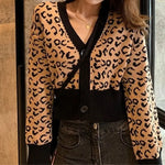 Women's Brown V-Neck Leopard Sweater - Vignette | My Léopard
