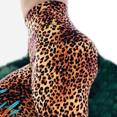 léopard legging