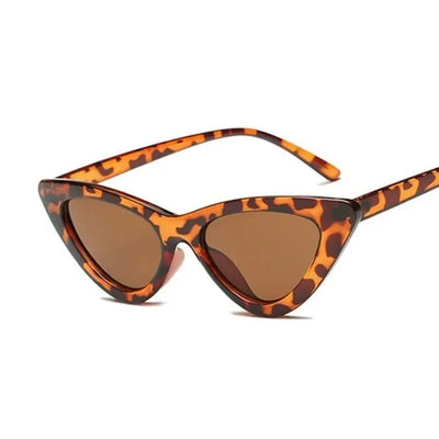 Lunette de soleil leopard top homme