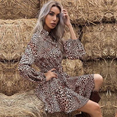 Robe discount chemise leopard